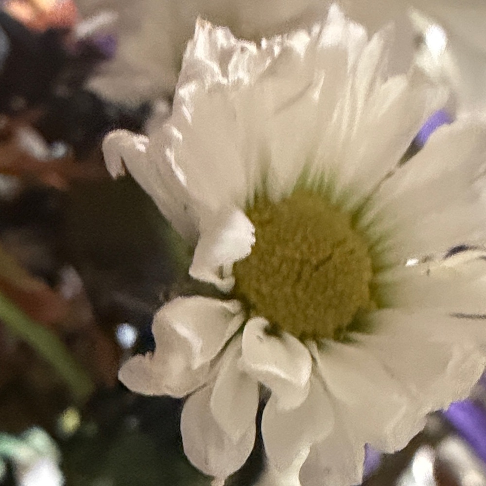 White Floral Home Accent
